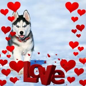 Meet your Posher, Helen